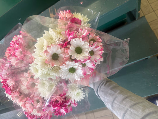 Pink and White Tints