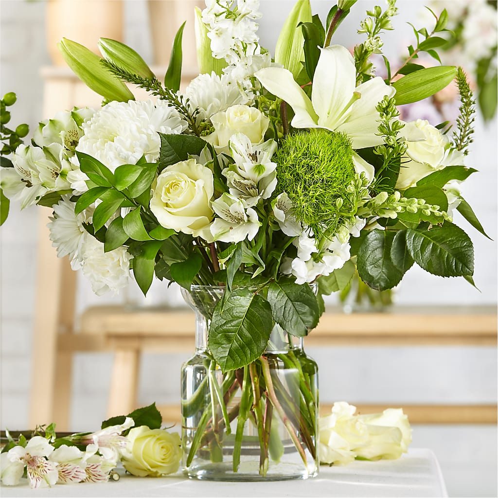 Marfil Clásico – Un Original del Florista