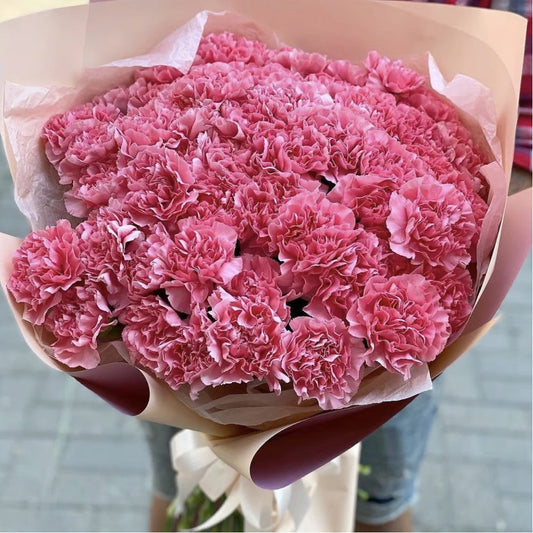 Carnations Bundle 25
